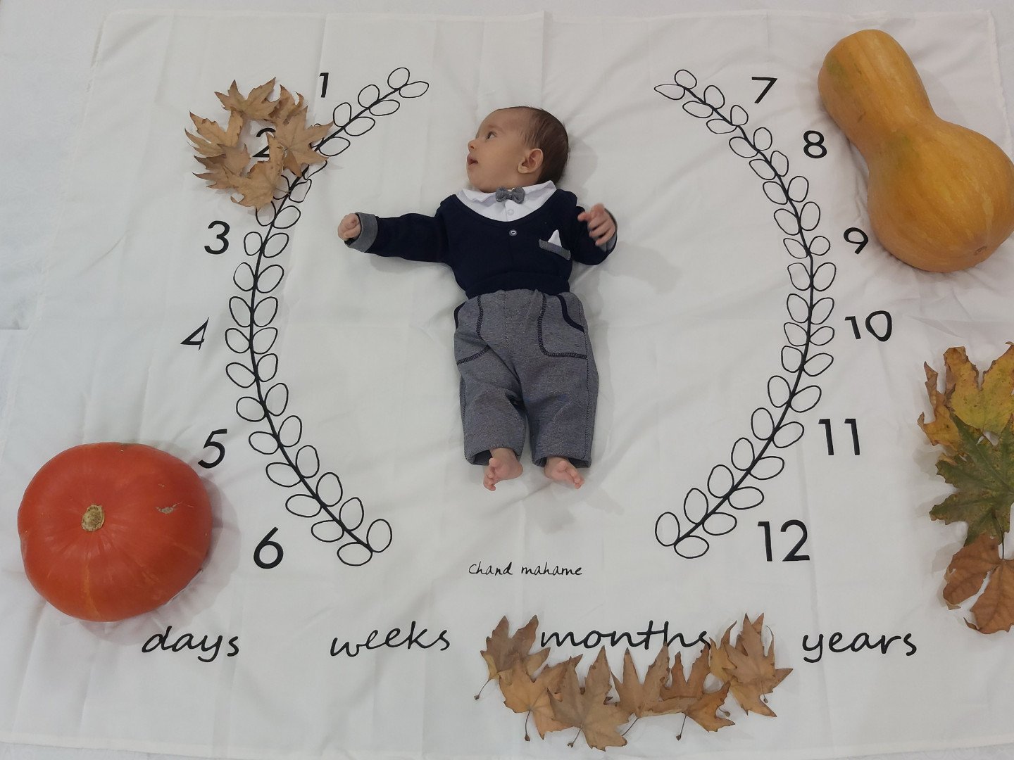 تم عکس پاییزی نوزاد محمدمهدی فنودی