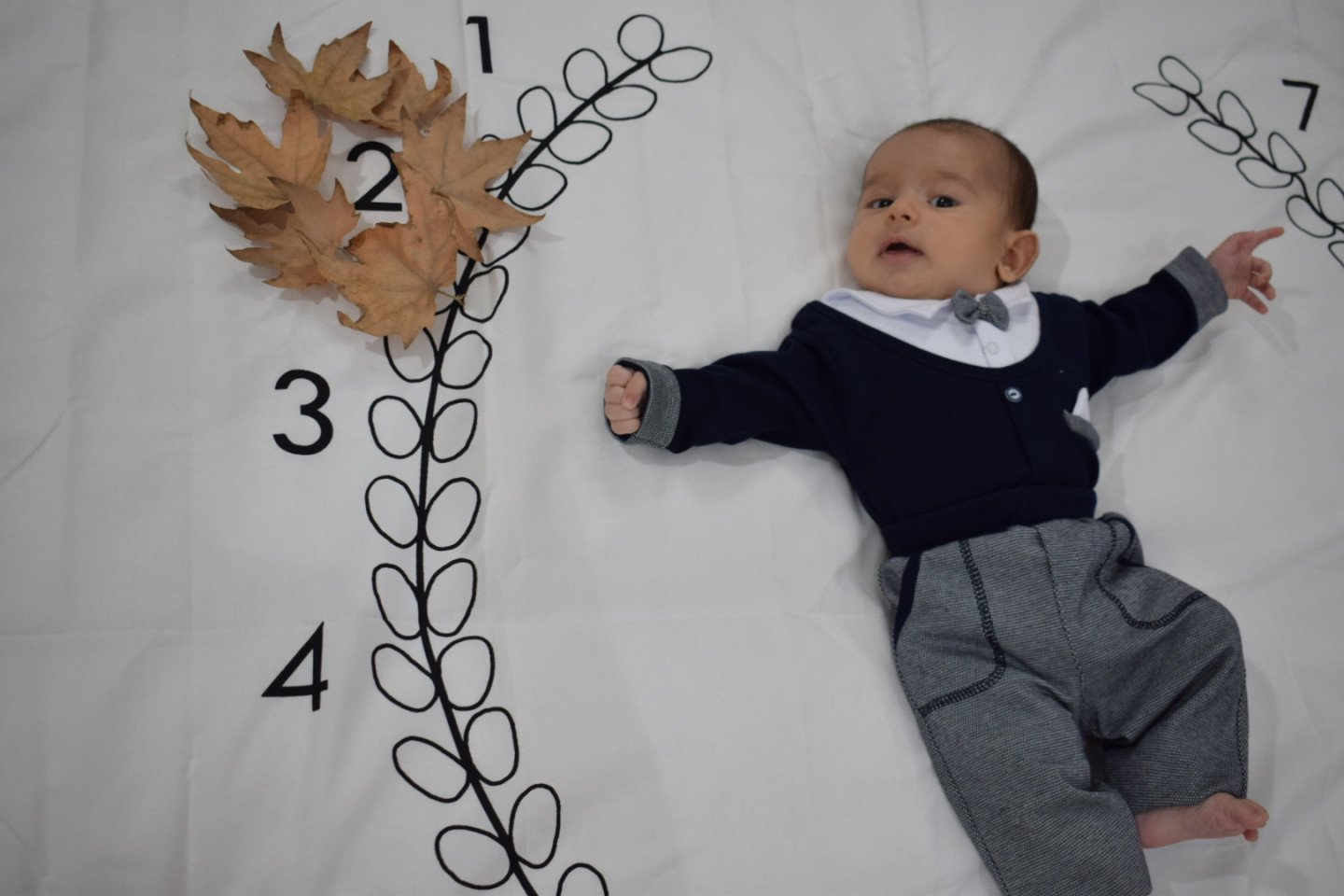 دو ماهگی نوزاد محمدمهدی فنودی