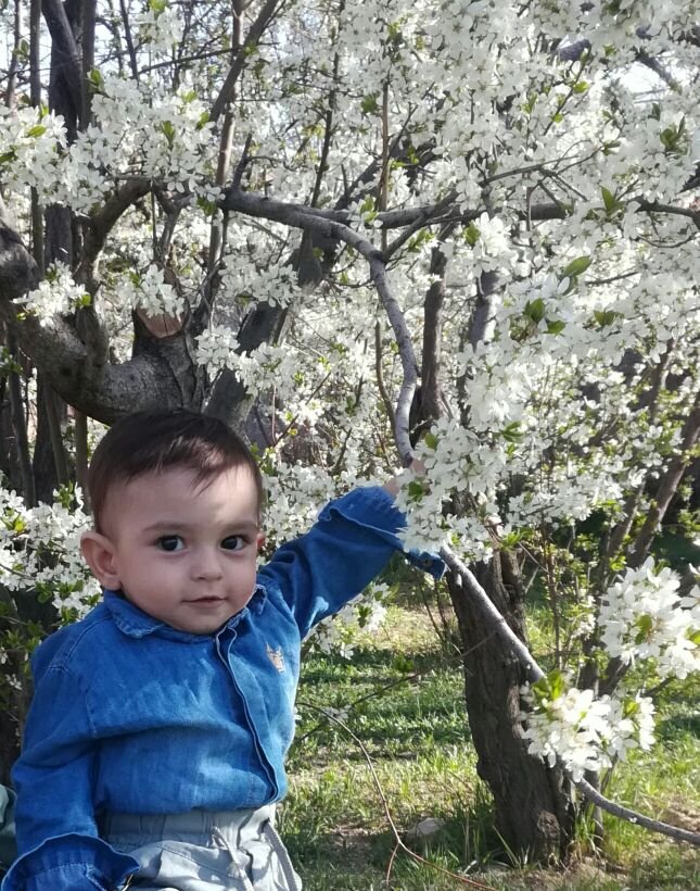 یازده ماهگی نوزاد barbod pazoki