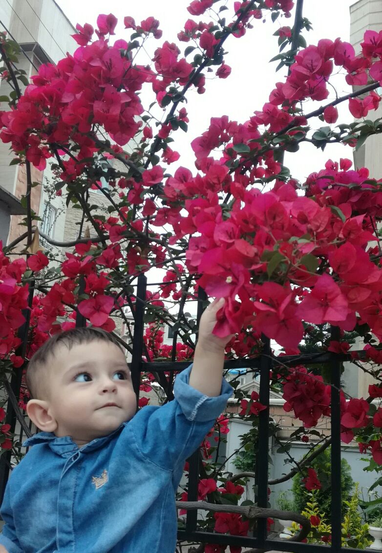 یازده ماهگی نوزاد barbod pazoki