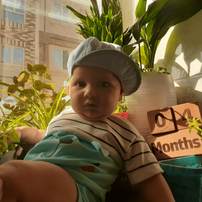 جشن ولنتاین کودک سبحان آقامحمدی