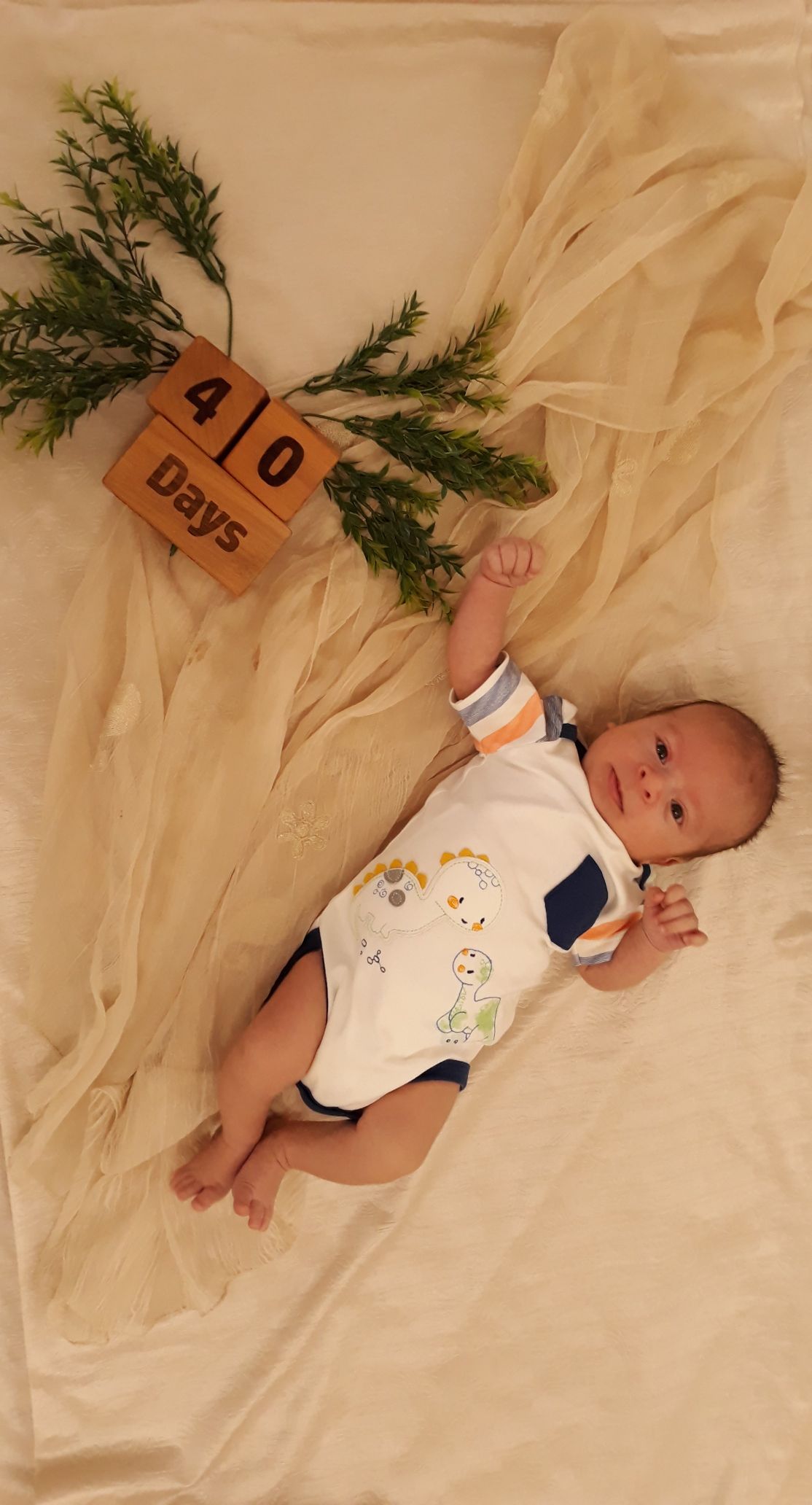 تم عکس پاییزی نوزاد شاهان علی فتاح پور