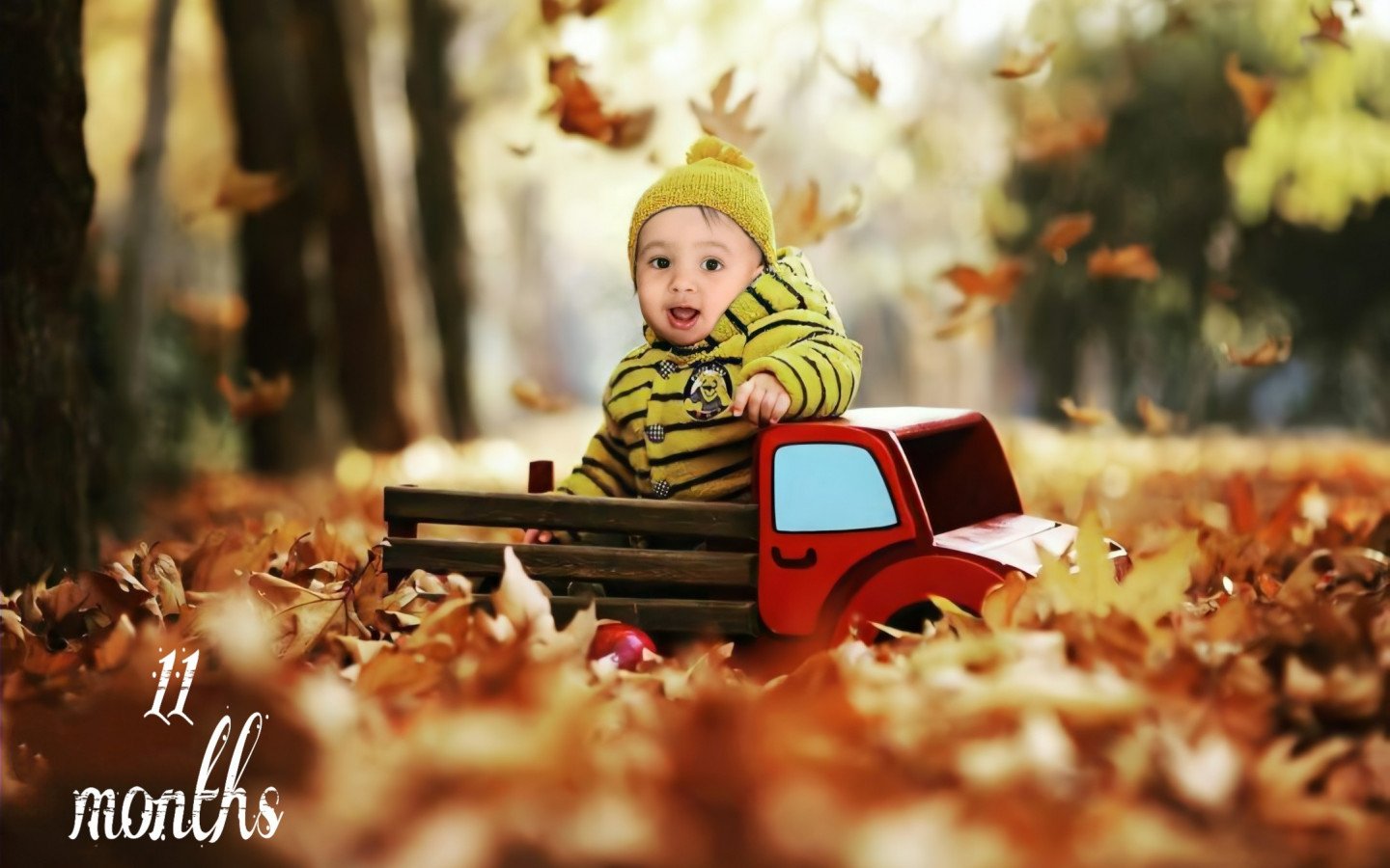 تم عکس پاییزی نوزاد ارشام عرب