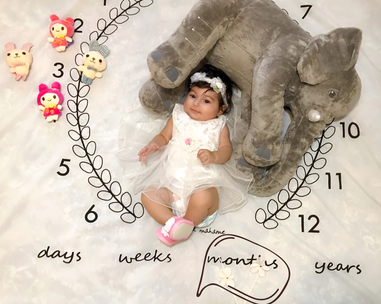 پارچه ماه شمار طرح شاخه زیتون جانان نجفی نژاد