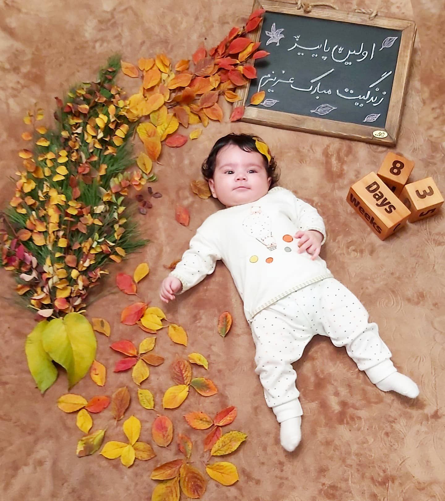 سه ماهگی نوزاد حلما حبیبی