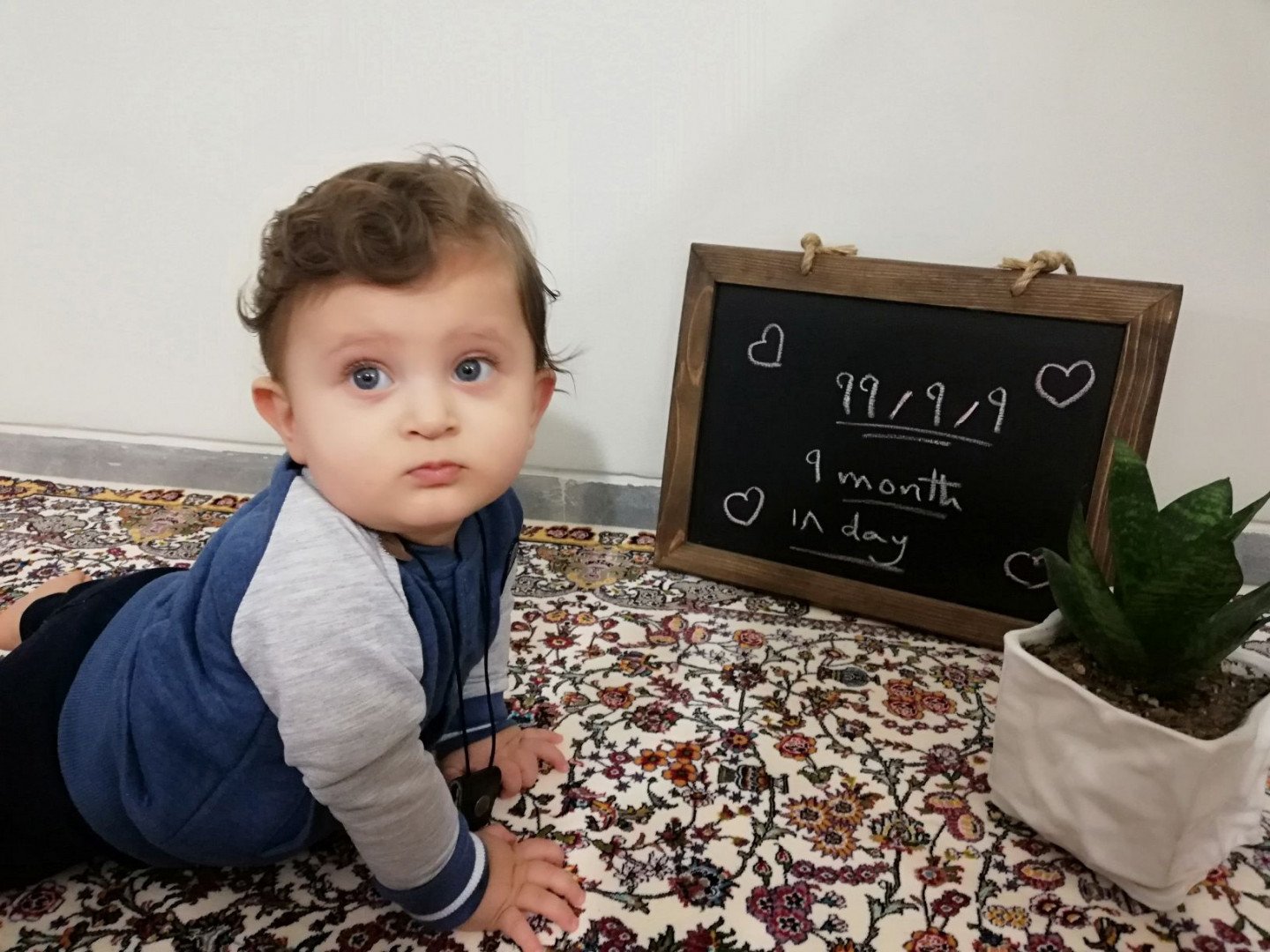 ده ماهگی نوزاد امیر علی چوگان باز