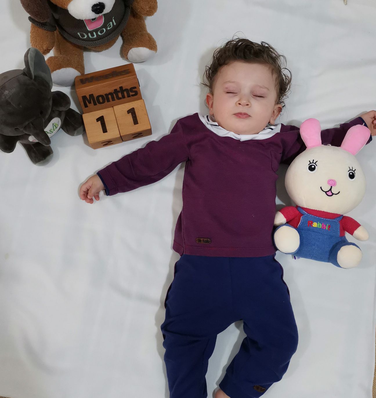 یازده ماهگی نوزاد امیر علی چوگان باز