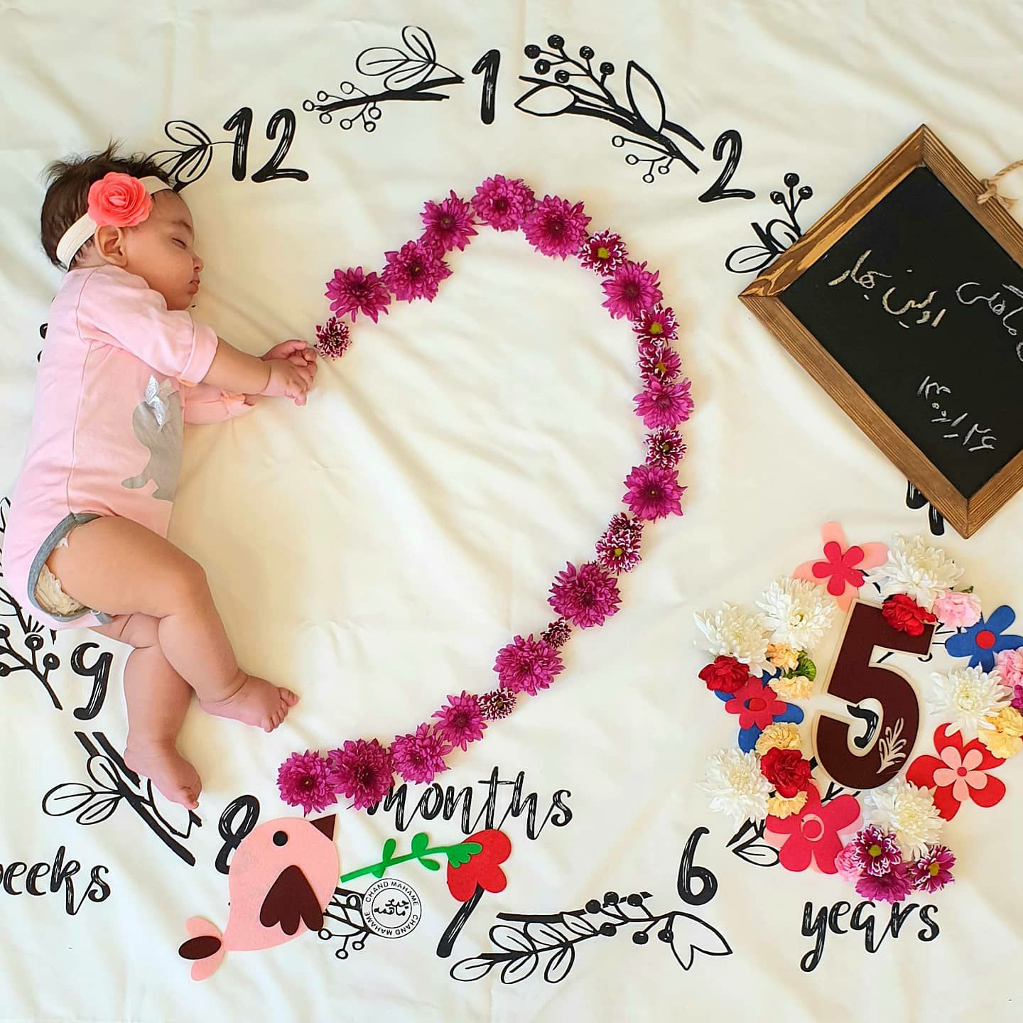 تم عکس بهاری کودک لاوین سلیمیان