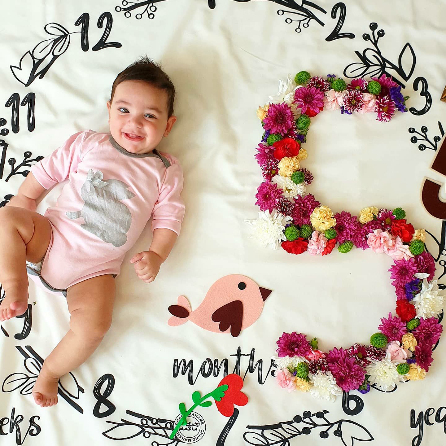 پنج ماهگی نوزاد لاوین سلیمیان