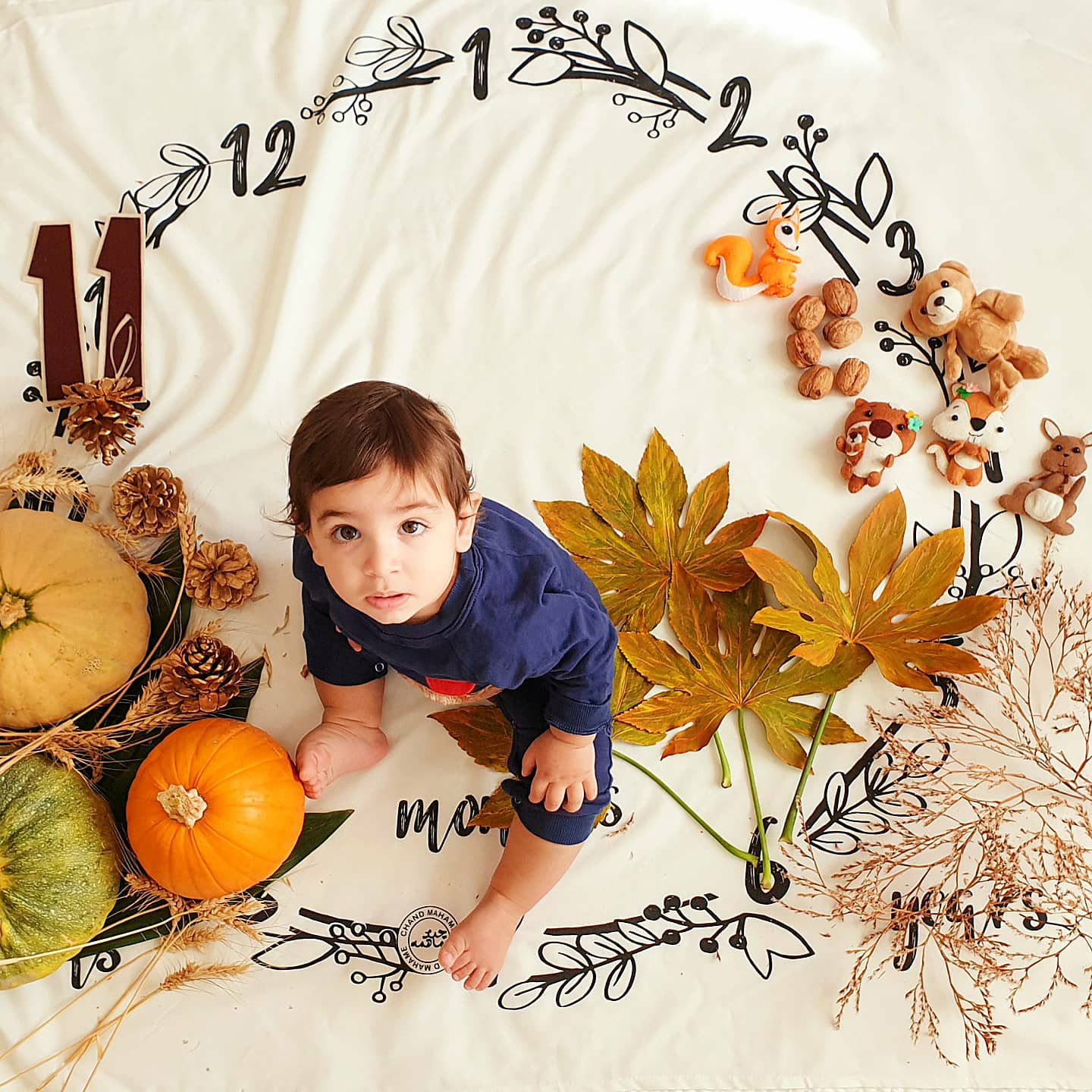 پارچه ماهگرد طرح حلقه تمشک لاوین سلیمیان