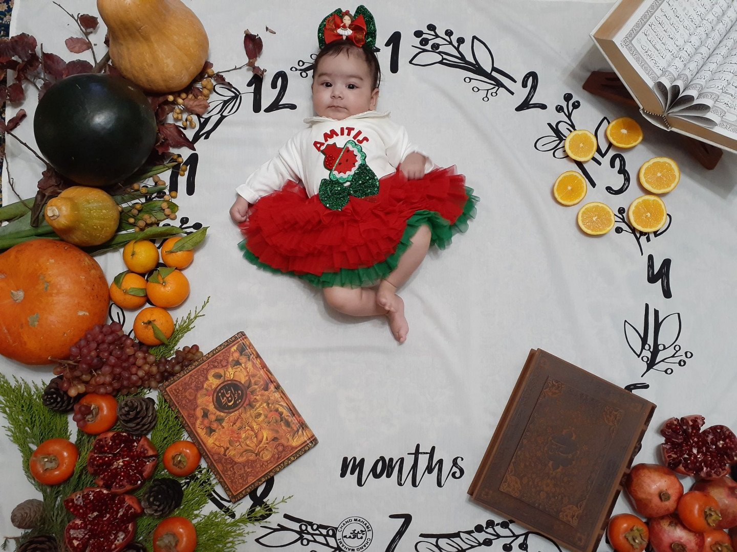 پارچه ماهگرد طرح حلقه تمشک آمیتیس علیزاده