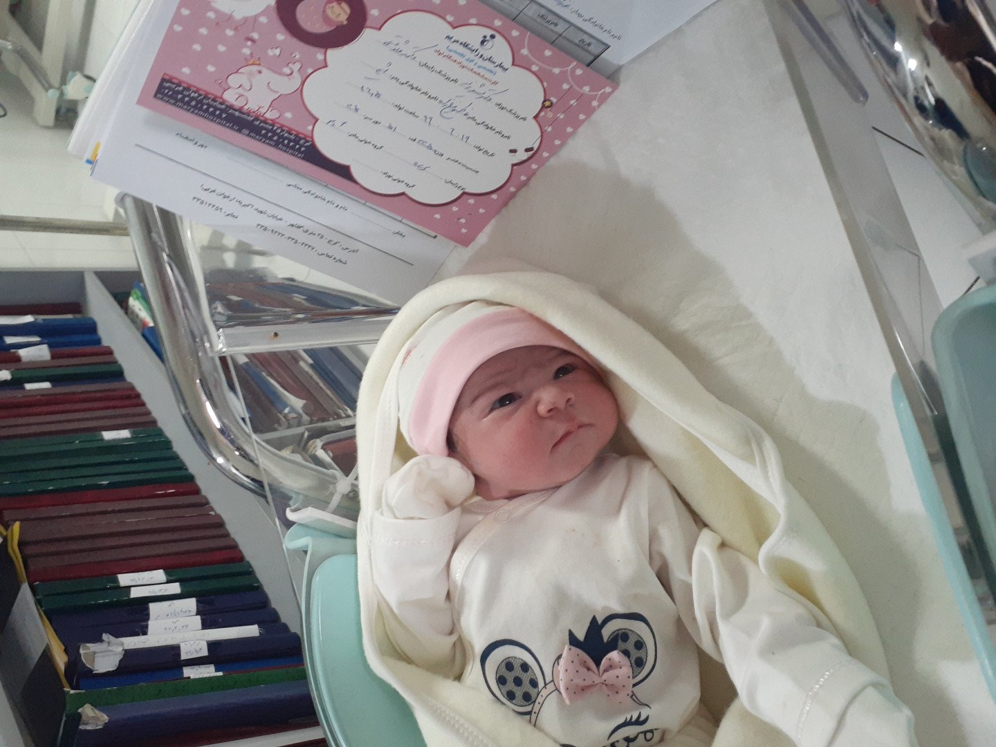 عکس سیزده بدر آمیتیس علیزاده