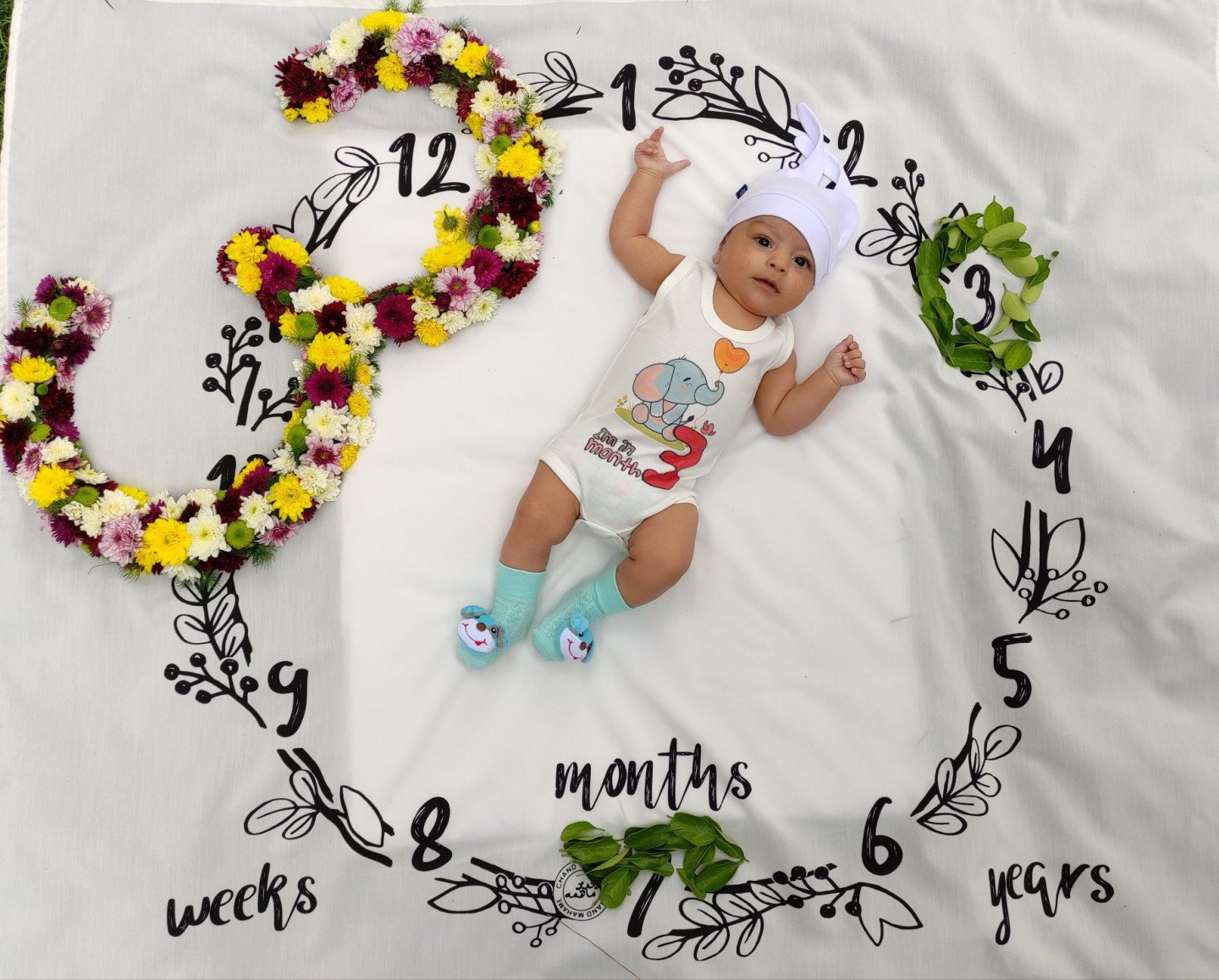 پارچه ماهگرد طرح حلقه تمشک هامین شهروی