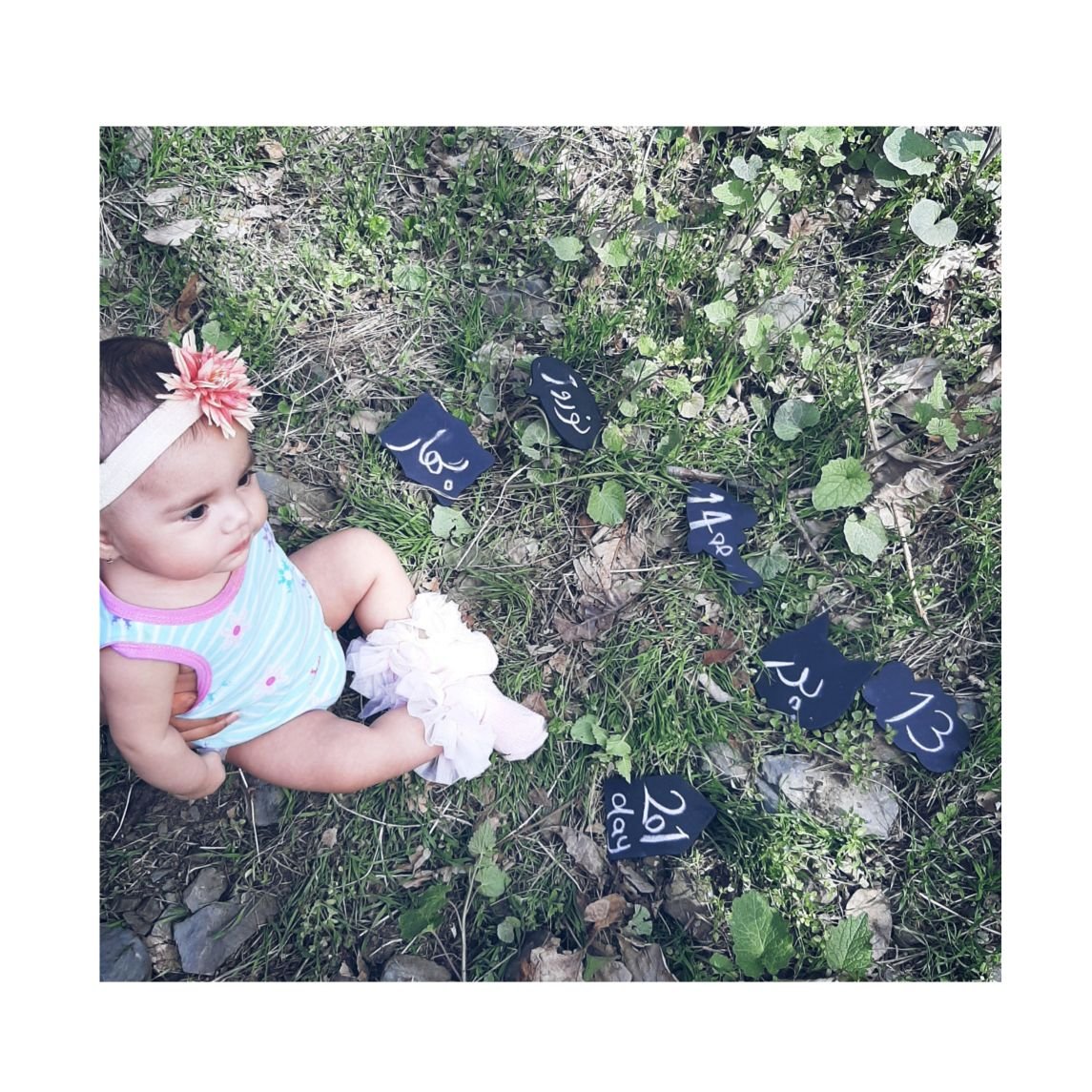 تم عکس بهاری کودک فرنیا حیدری