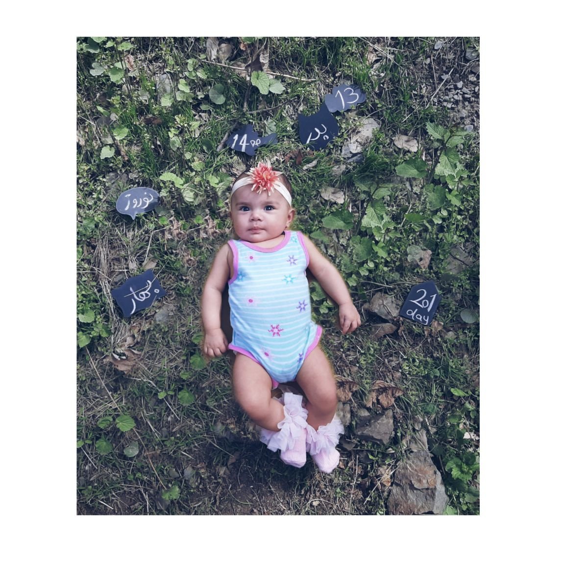 تخته-سیاه-طرحدار-34373