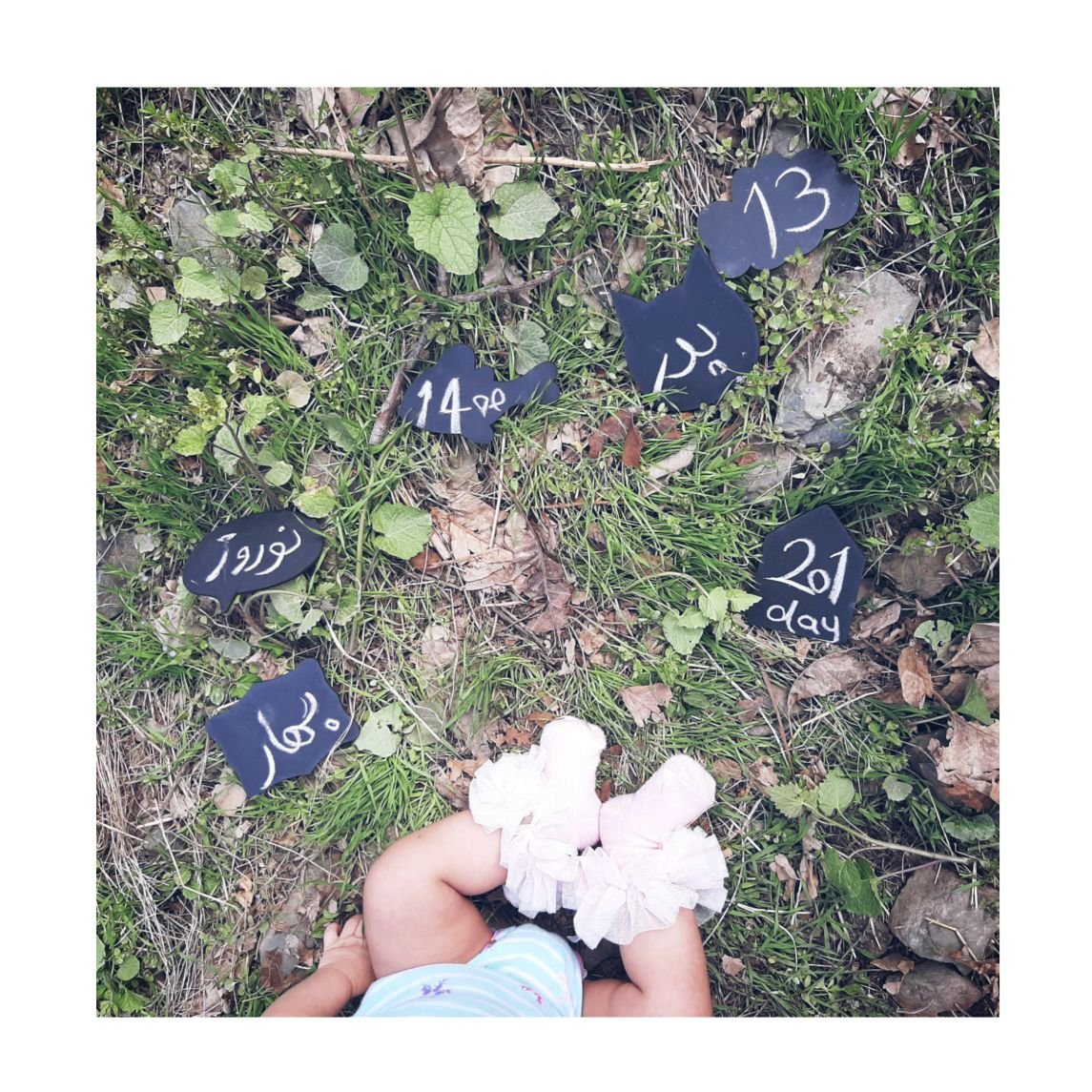 تخته سیاه طرح‌دار فرنیا حیدری