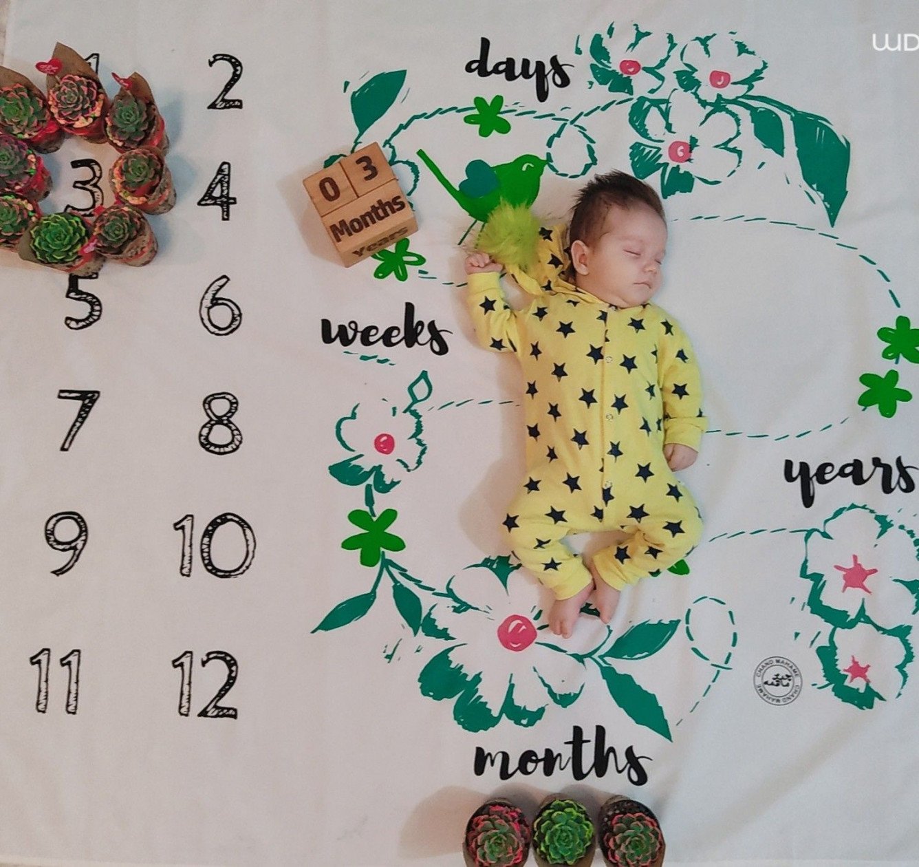 سه ماهگی نوزاد ماهان بایرام زاده