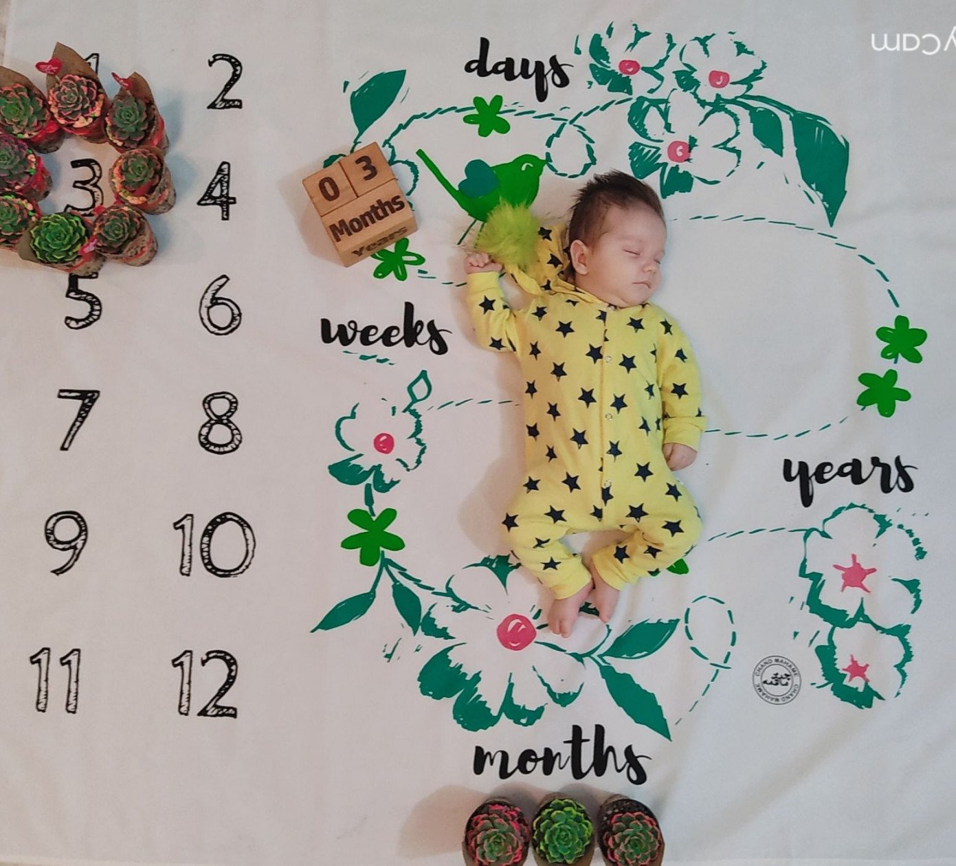 تم عکس زمستانی نوزاد ماهان بایرام زاده