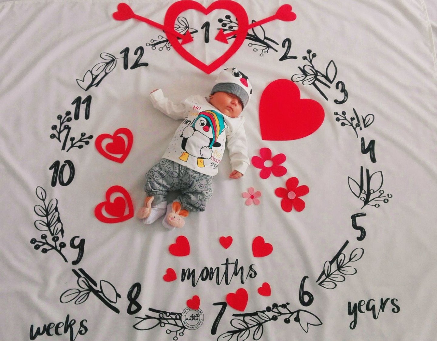 تم و تزیینات عاشقانه Elina