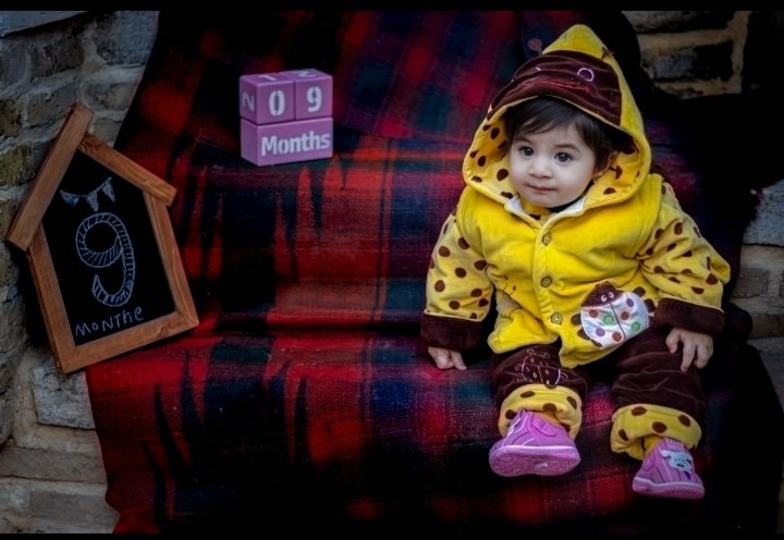 تخته سیاه آلونک آندیا