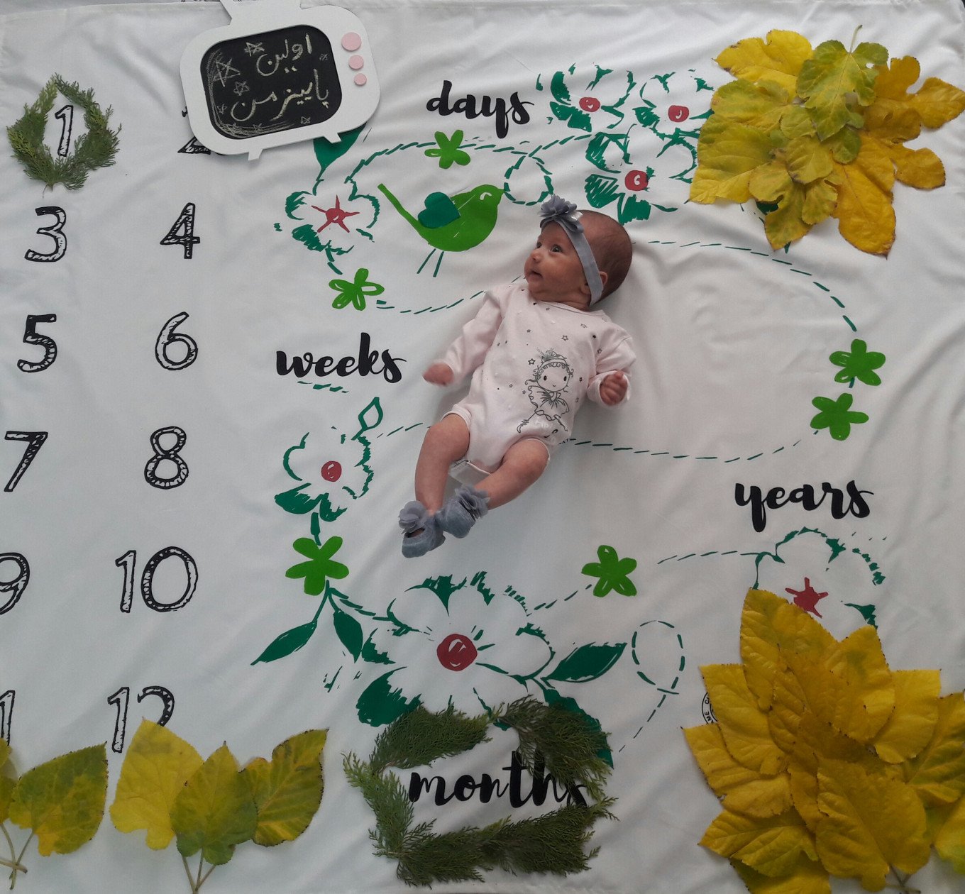 مسابقه_کتاب لیانا سلطانی