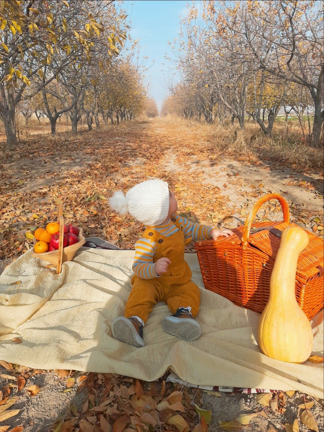 تم عکس پاییزی نوزاد امیرحسین ملازم