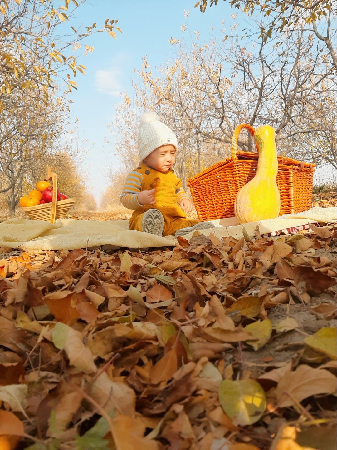 تم عکس پاییزی نوزاد امیرحسین ملازم