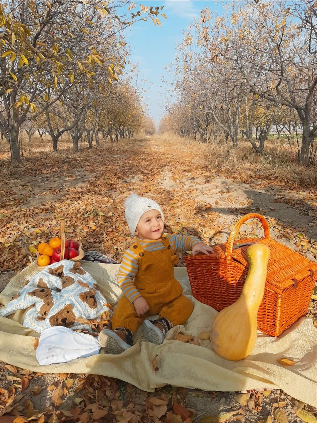 تم عکس پاییزی نوزاد امیرحسین ملازم