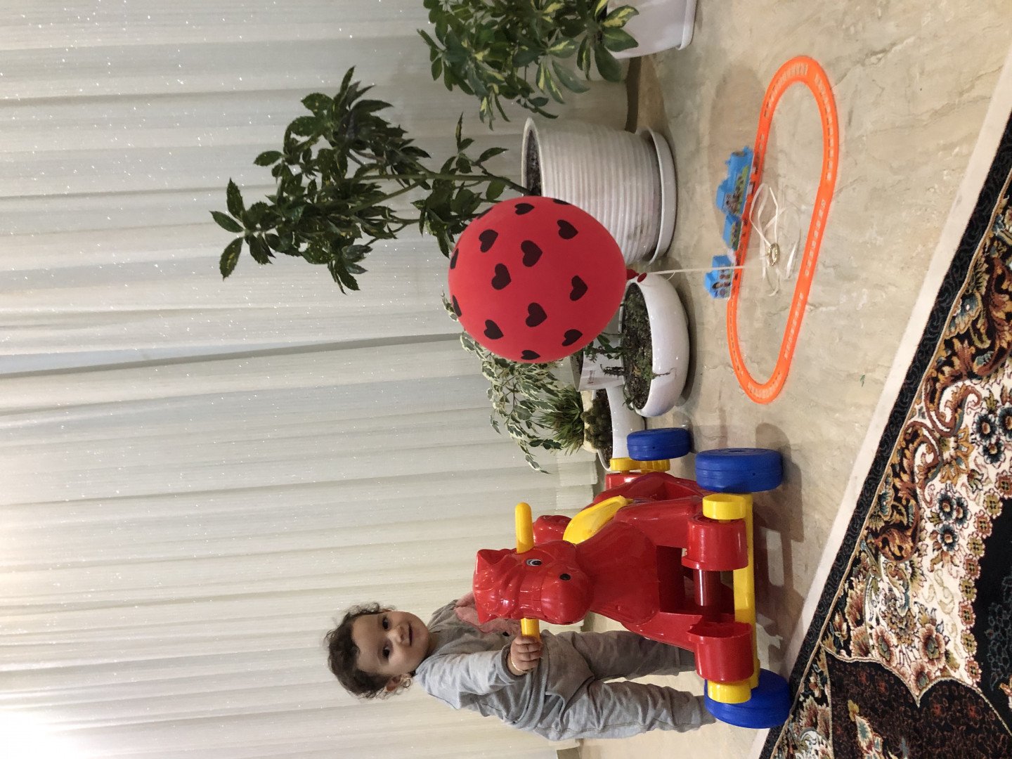 هجده ماهگی کودک روشنااحمدی