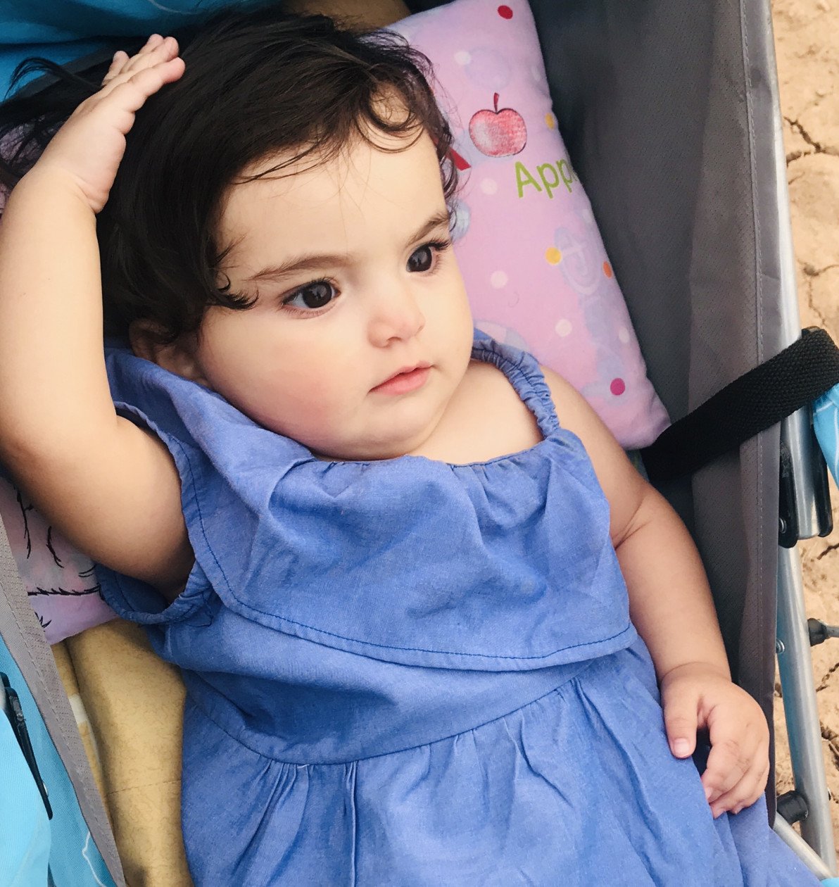 ماه رمضان جانان نیک فرجام