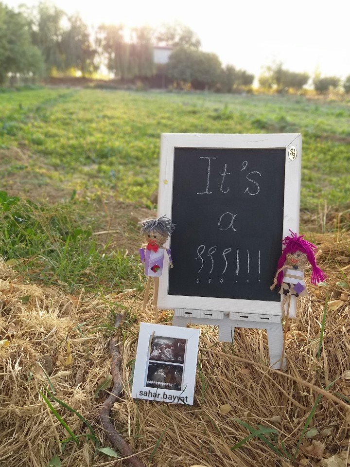 جشن تعیین جنسیت امیر علی جوادی