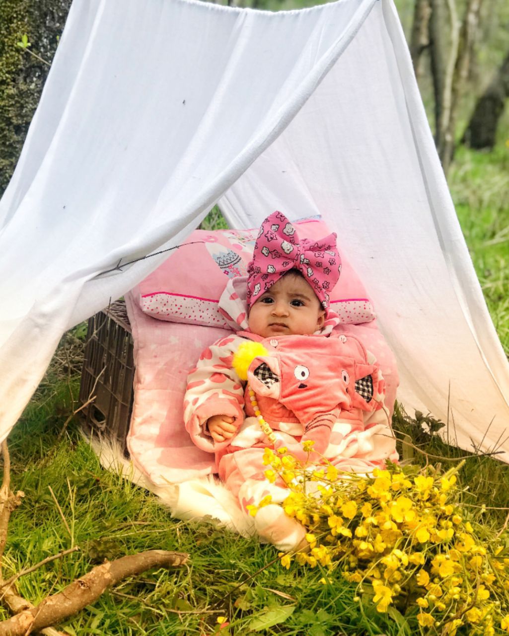 عکس سیزده بدر دریا ذاکری