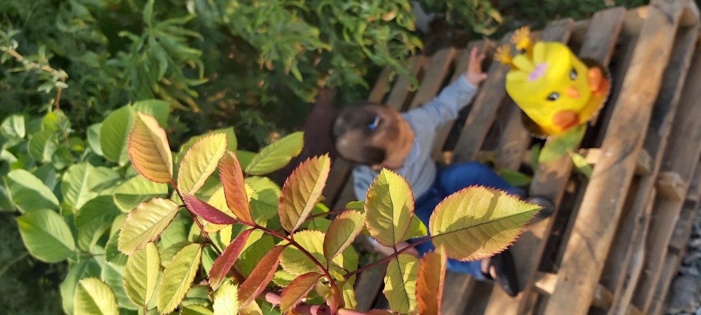 یازده ماهگی نوزاد ترنم نصیرلو