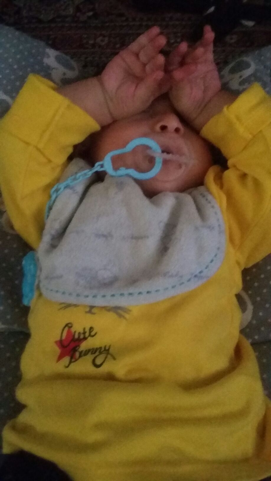 لالا کردنم آراد زاهدی