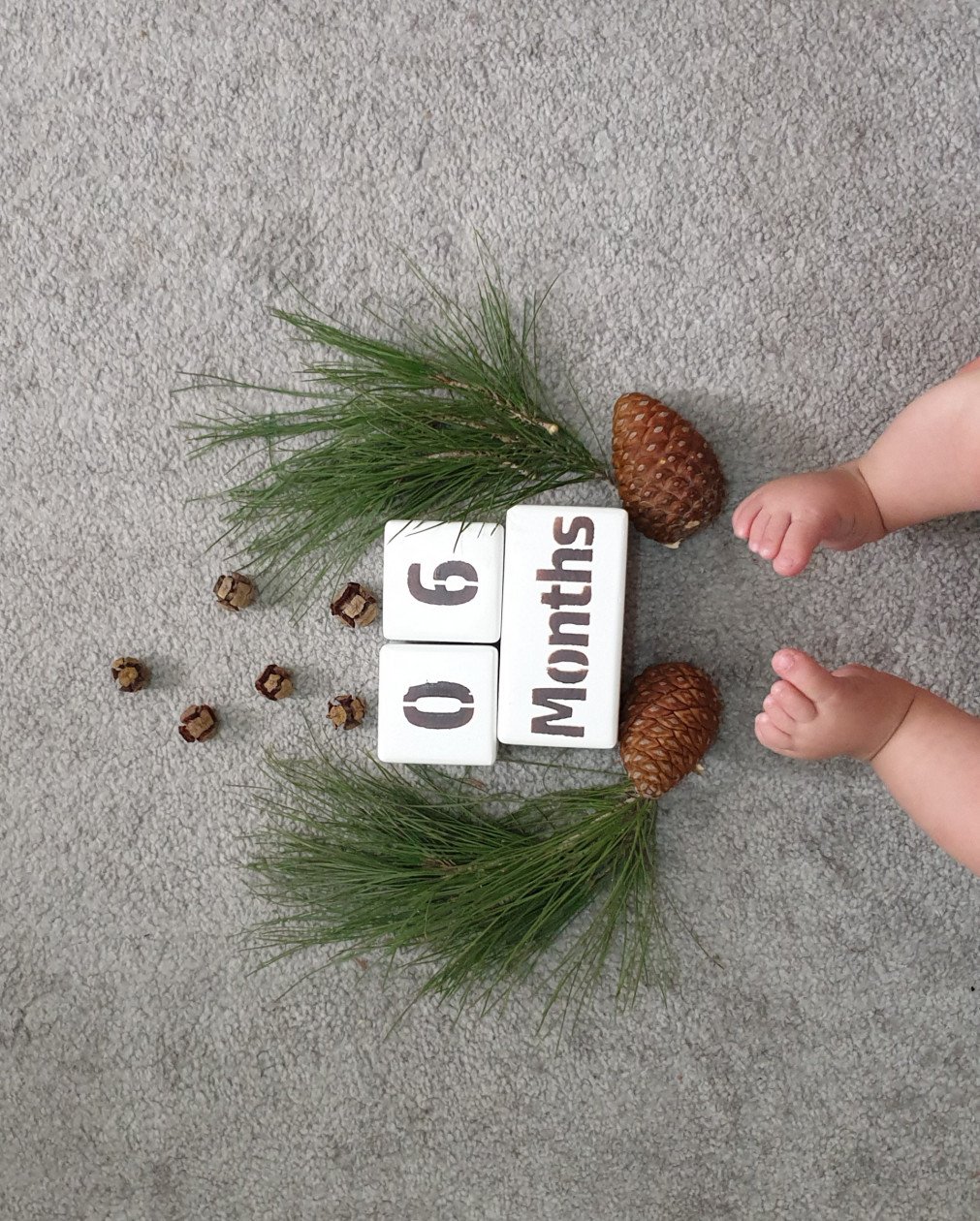 تم عکس زمستانی نوزاد شاهان مرادی