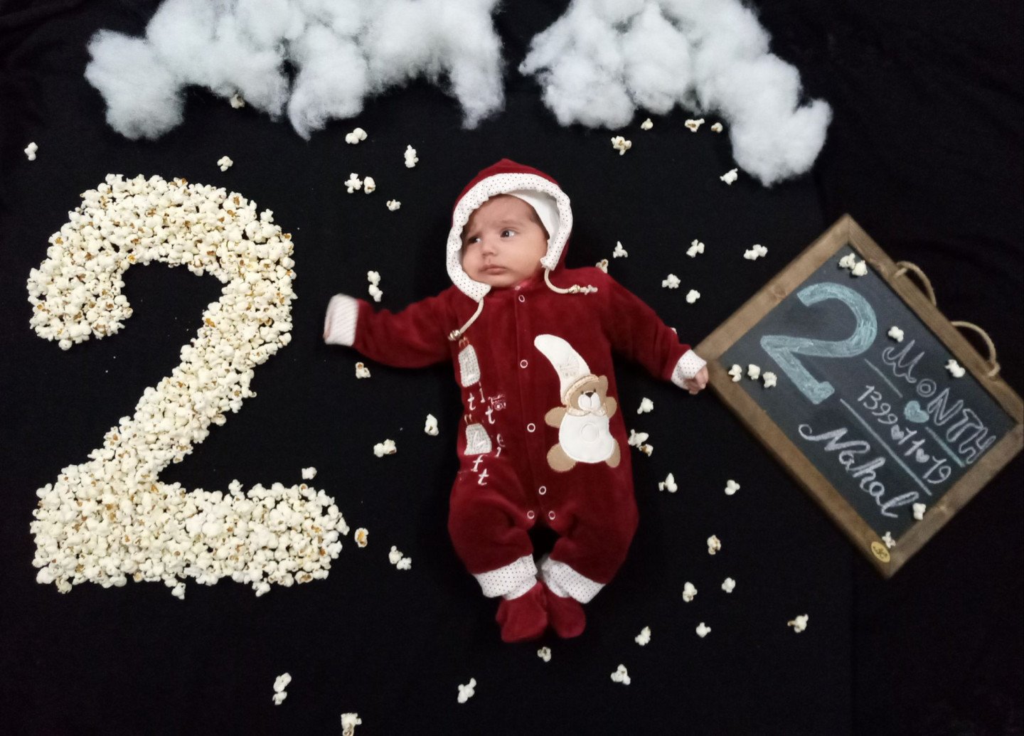 تم عکس زمستانی نوزاد نهال غریب رضا یزدی