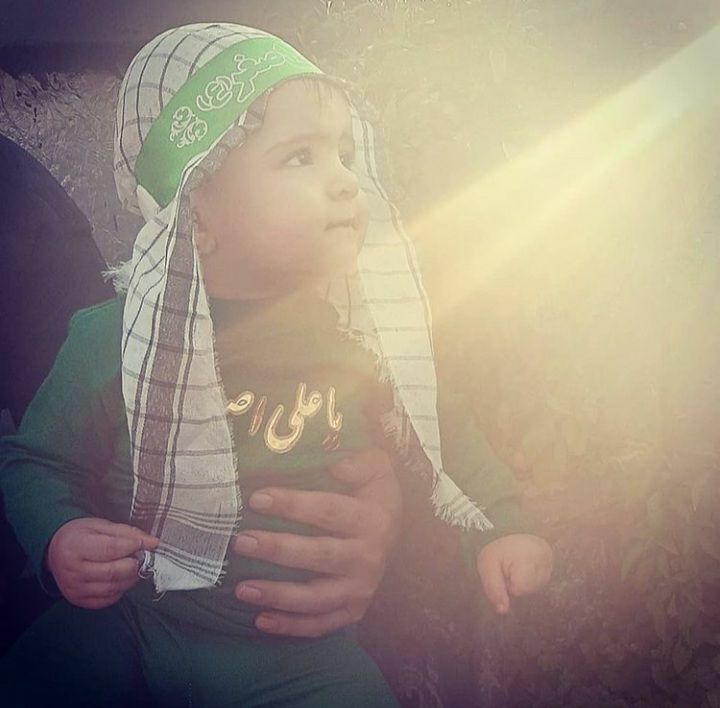 ایده الوین معرفت