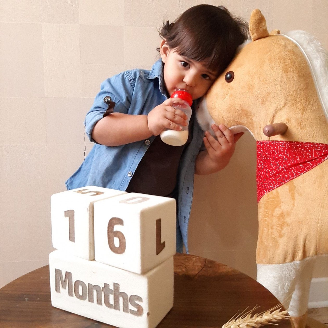 شانزده ماهگی کودک الوین معرفت