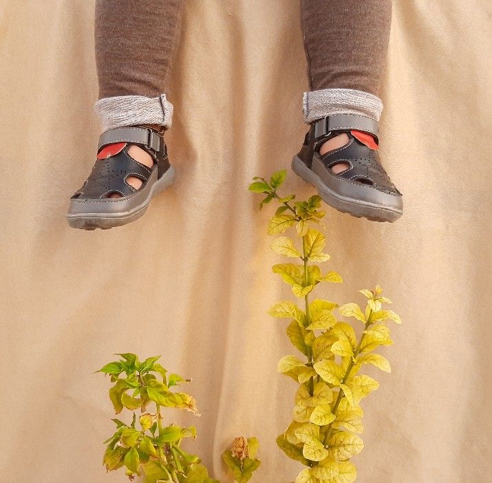 عکس-پاییزی الوین معرفت