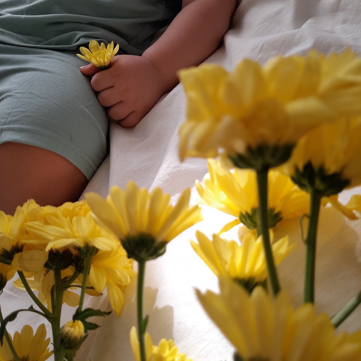 تم عکس بهاری کودک الوین معرفت