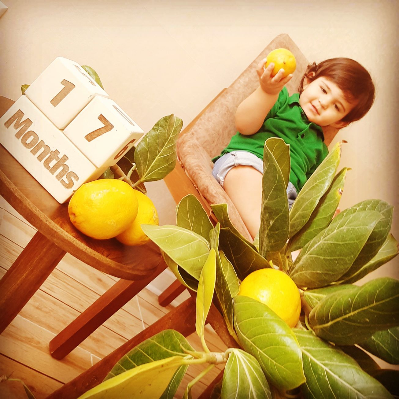 مکعب تاریخ‌شمار الوین معرفت