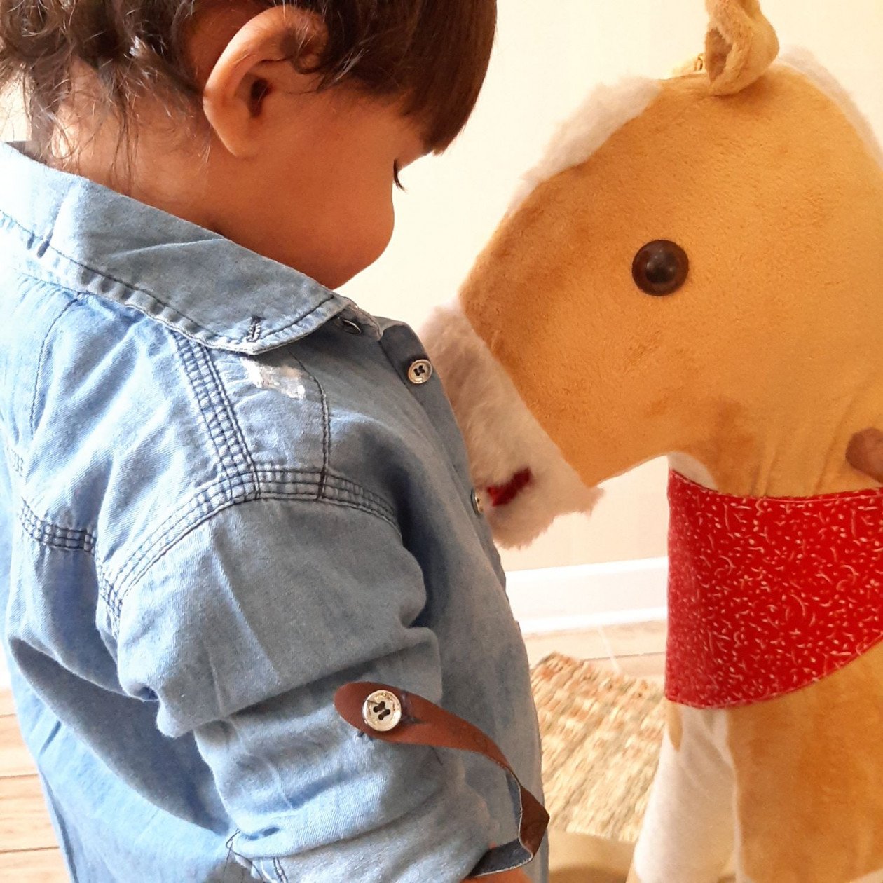 شانزده ماهگی کودک الوین معرفت