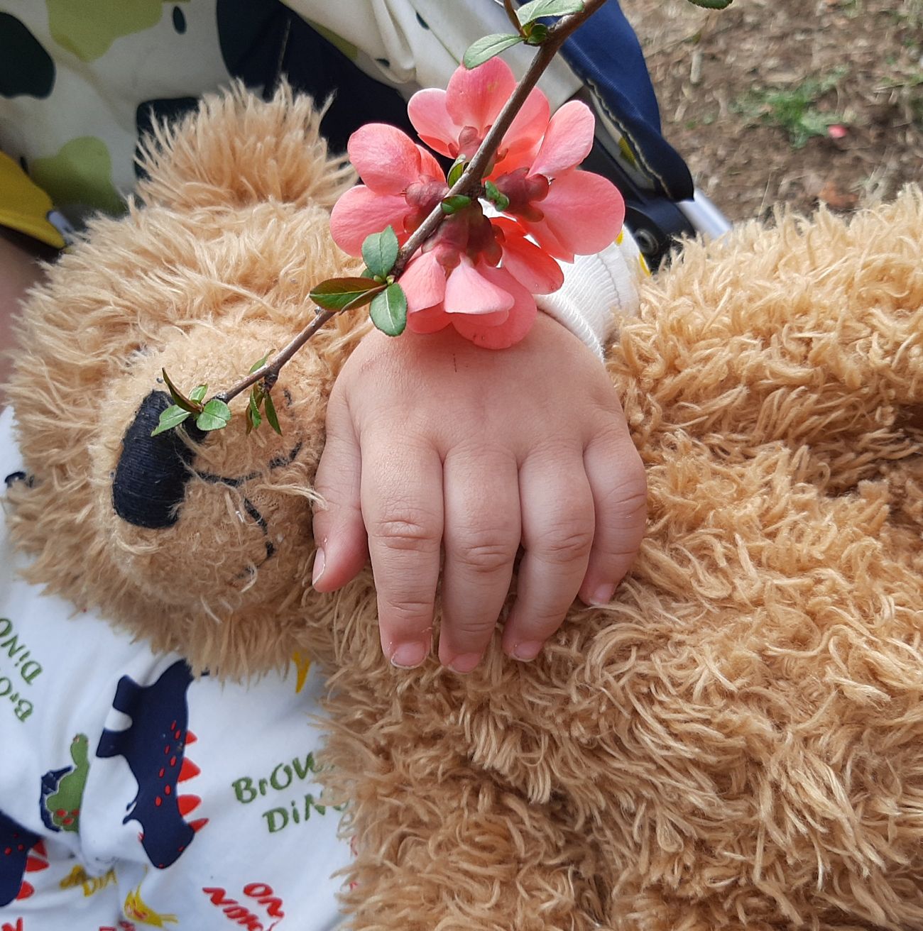 چهارده ماهگی_کودک الوین معرفت