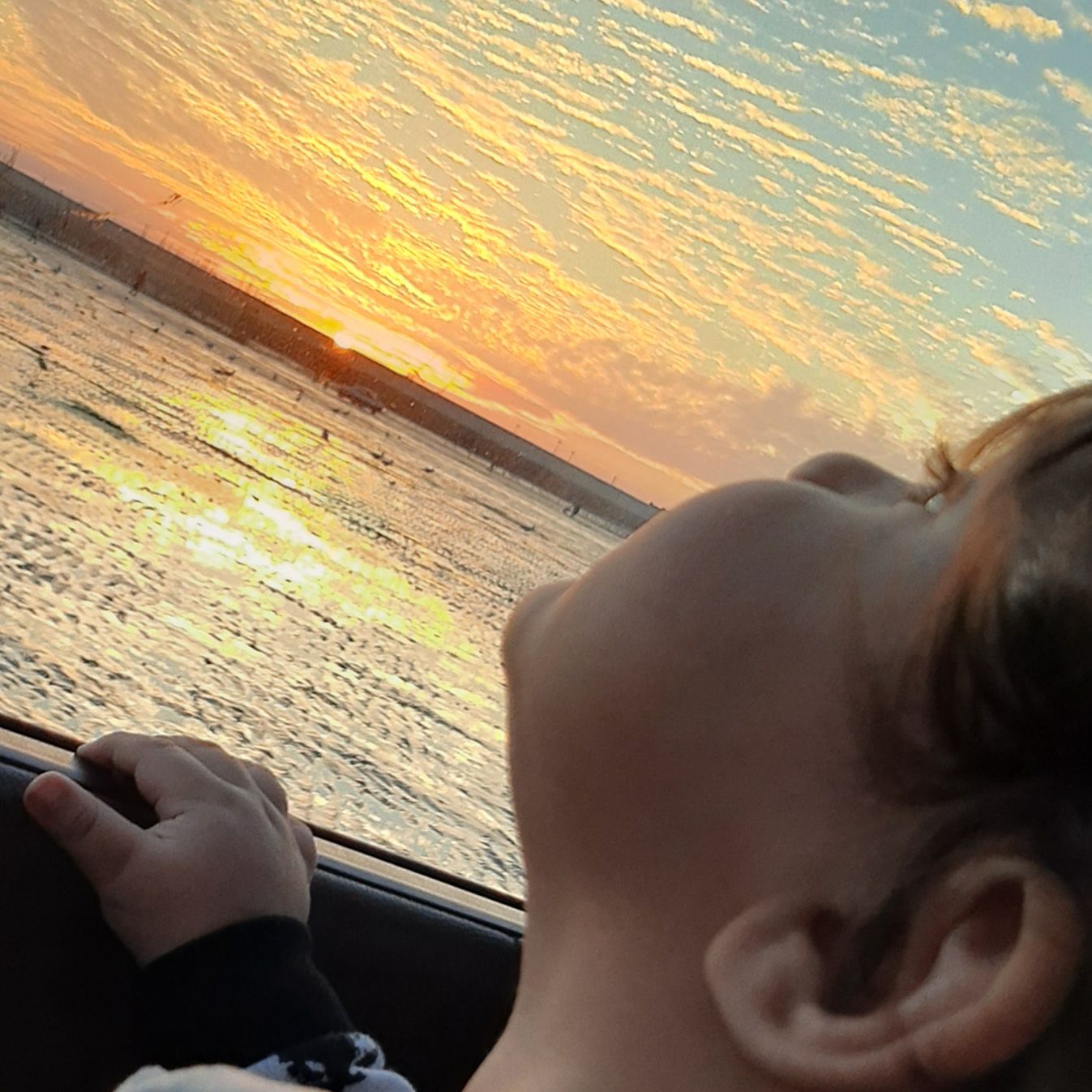 تم عکس زمستانی نوزاد الوین معرفت