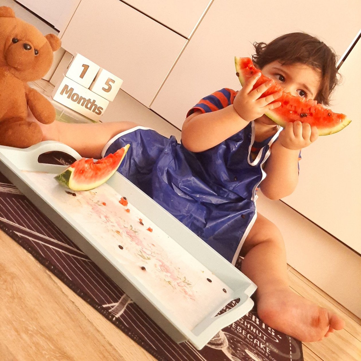 پانزده ماهگی کودک الوین معرفت