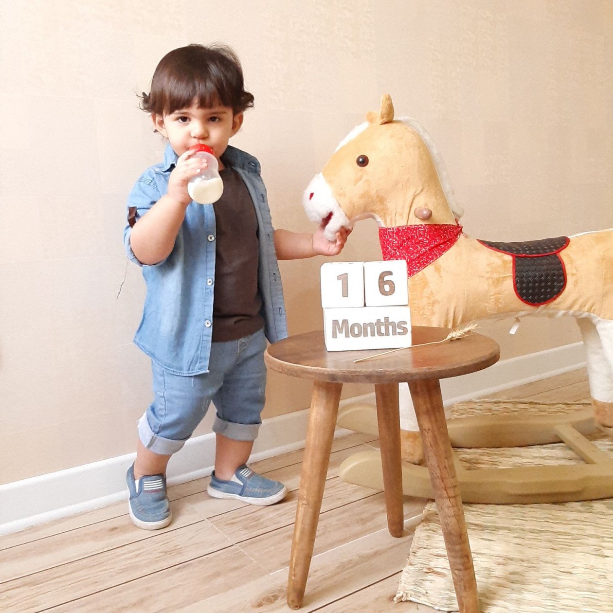 شانزده ماهگی کودک الوین معرفت