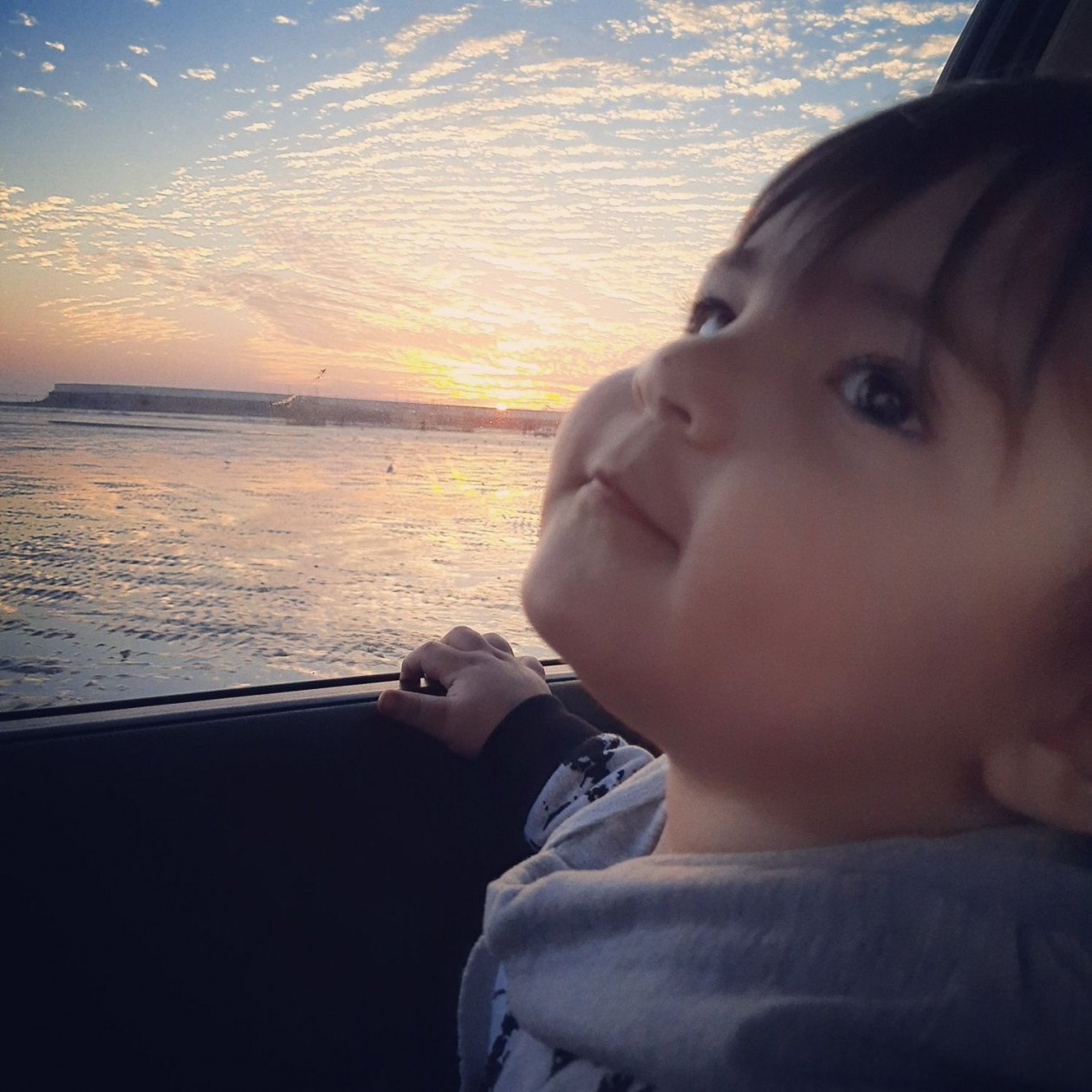 تولد یک سالگی کودک الوین معرفت