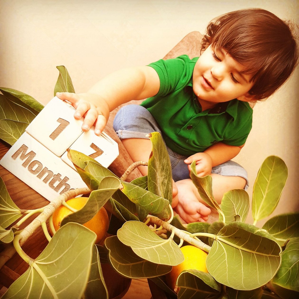 تم عکس تابستانی کودک الوین معرفت