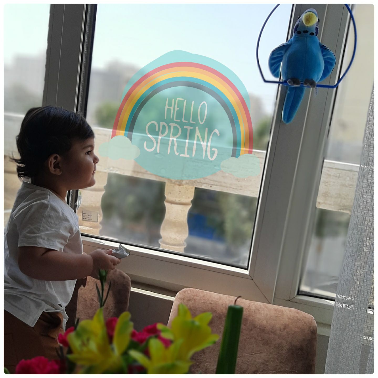 تم عکس بهاری کودک الوین معرفت