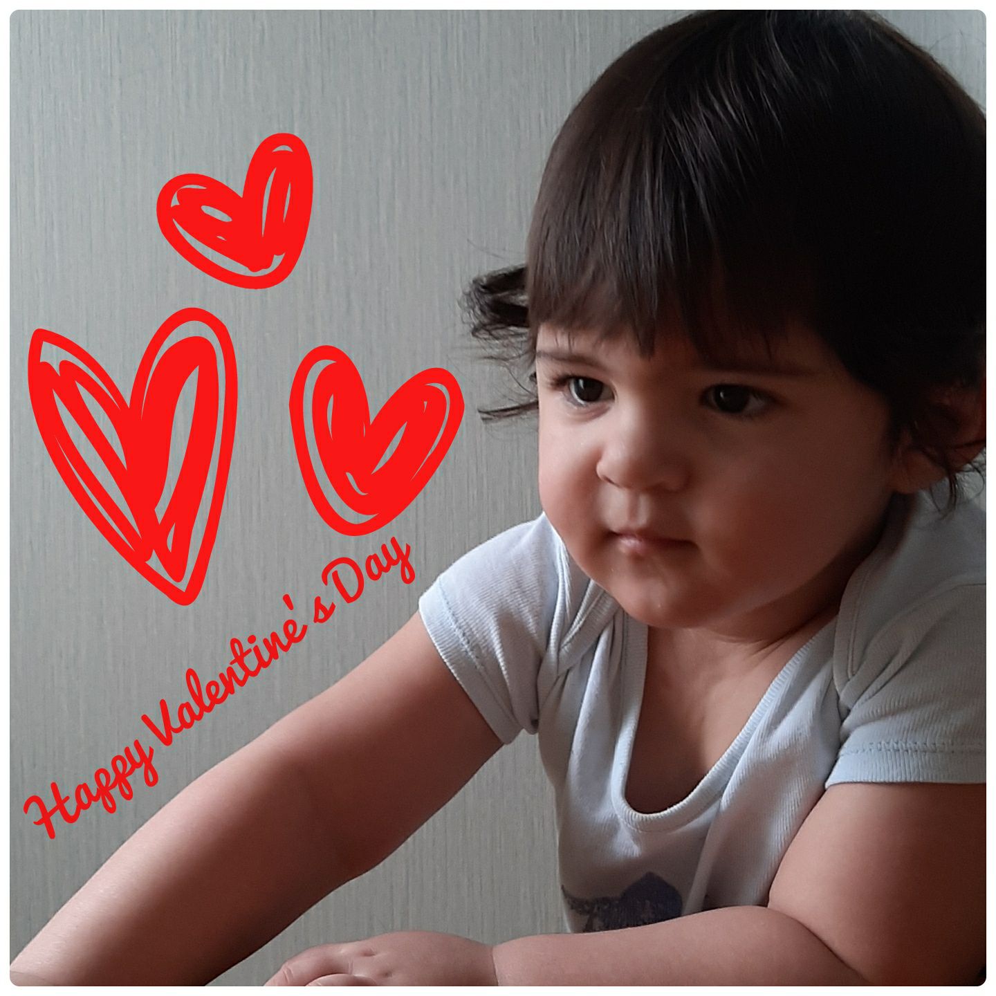 تولد یک سالگی کودک الوین معرفت